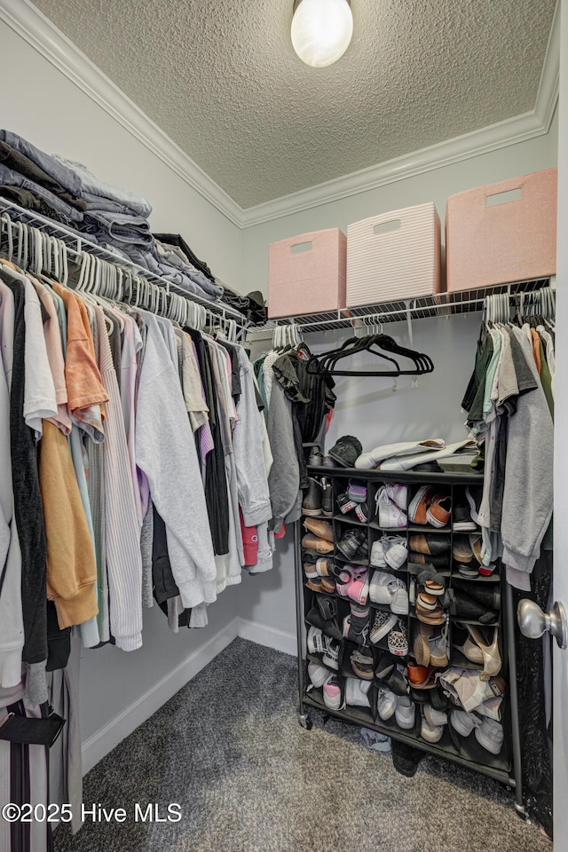 spacious closet with carpet floors