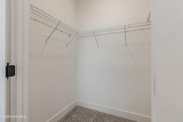 walk in closet featuring carpet flooring