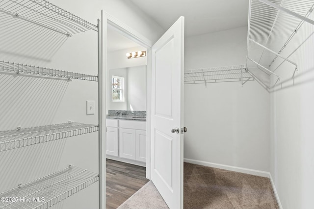 walk in closet featuring wood finished floors and a sink