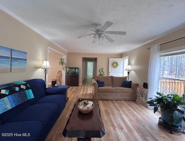 living room featuring light wood-style floors, ornamental molding, a ceiling fan, and a textured ceiling