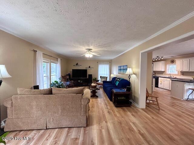 living room with crown molding, a ceiling fan, light wood finished floors, and a textured ceiling