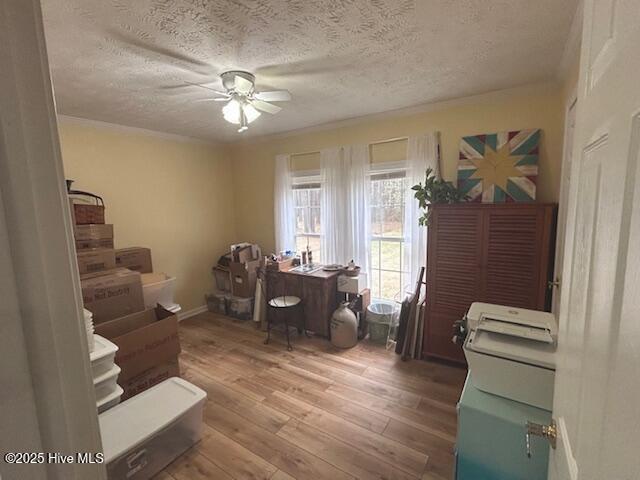 office area with ceiling fan, a textured ceiling, and wood finished floors