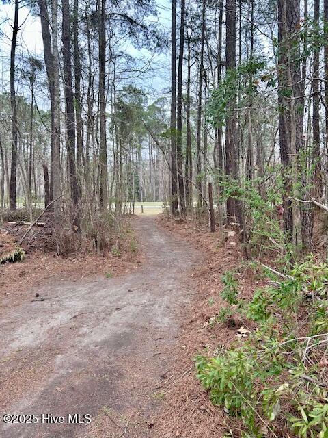 view of road featuring a wooded view