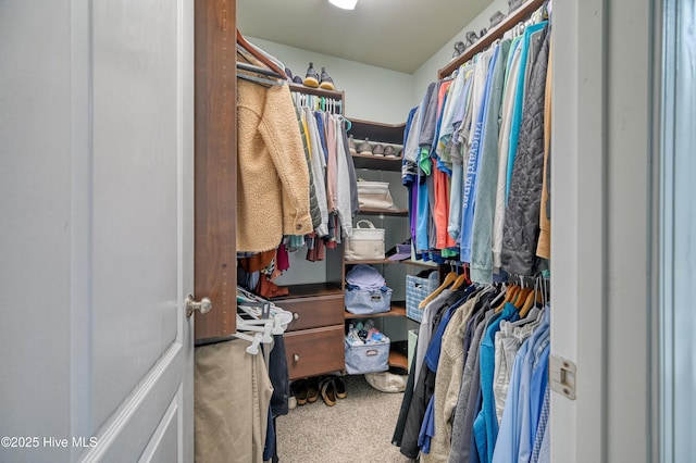 view of walk in closet