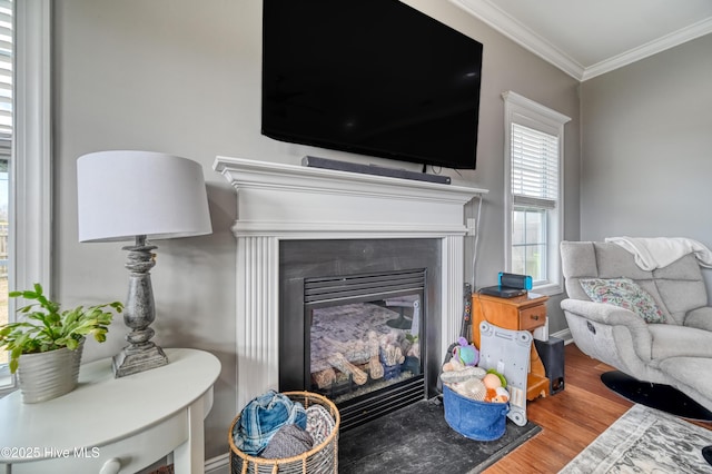 living room with a glass covered fireplace, crown molding, and wood finished floors