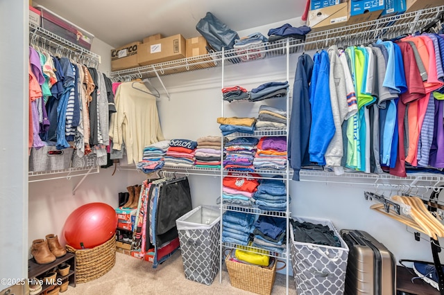 spacious closet featuring carpet flooring