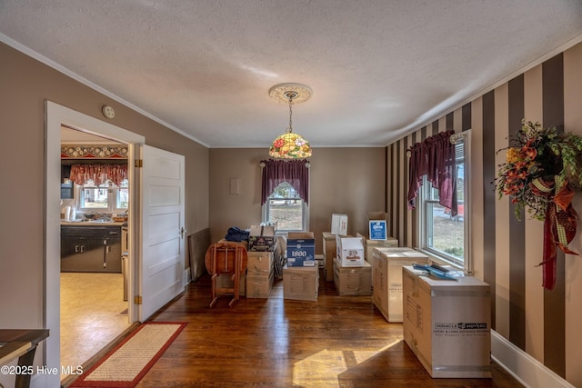 dining space featuring a textured ceiling, ornamental molding, and dark wood-style flooring