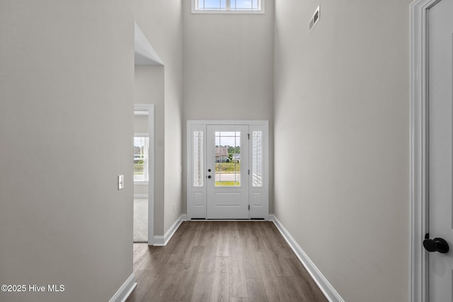 2366 Great Laurel Ct, Greenville, NC 27834 - foyer with wood finished floors, a towering ceiling, and baseboards