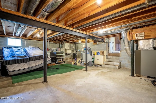 5218 Springwood Dr, Trent Woods, NC 28562 - below grade area with concrete block wall and heating unit