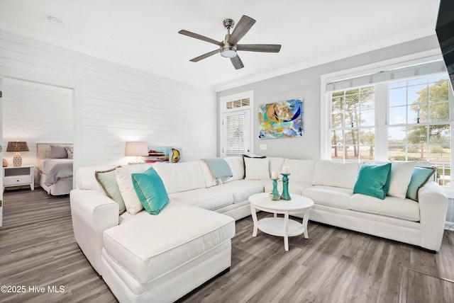 living area featuring ceiling fan, wood finished floors, and ornamental molding