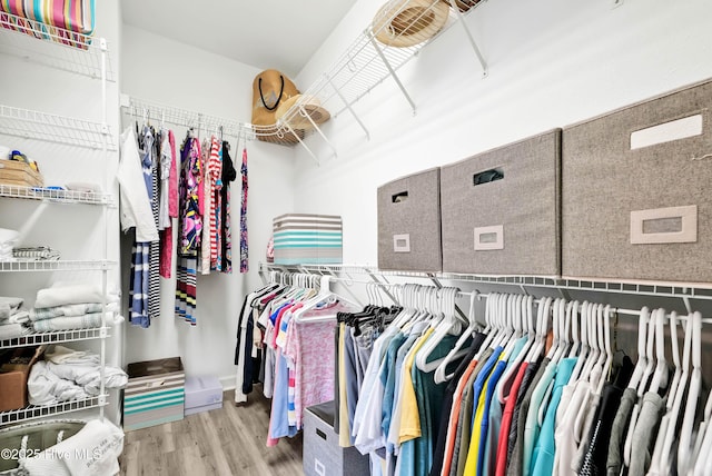 spacious closet featuring wood finished floors