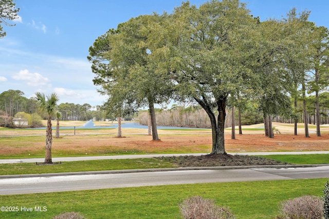 view of home's community featuring a yard