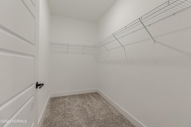 walk in closet with carpet floors