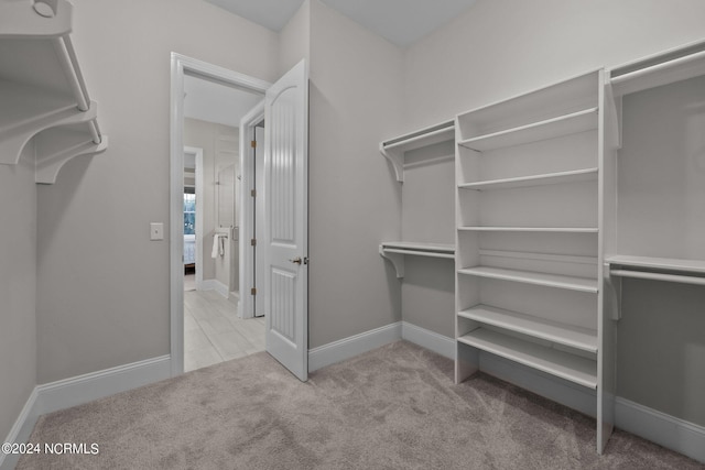 spacious closet with carpet