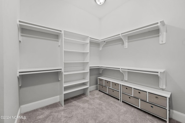 spacious closet featuring carpet floors