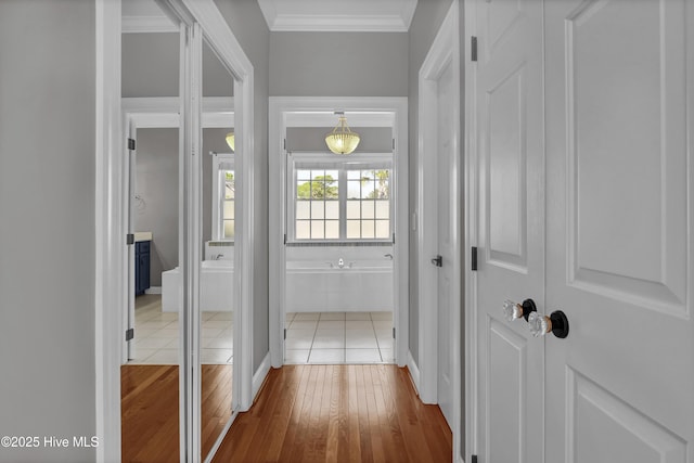 corridor featuring wood finished floors and ornamental molding