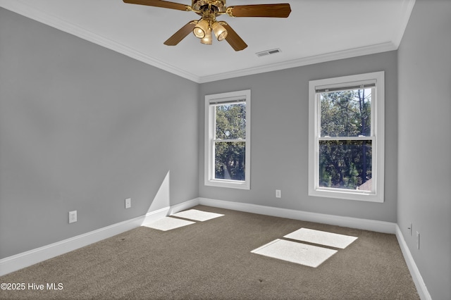 carpeted spare room with a wealth of natural light, visible vents, and ornamental molding