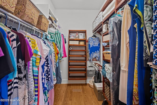 spacious closet featuring wood finished floors