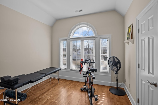 workout room with lofted ceiling, plenty of natural light, wood finished floors, and baseboards