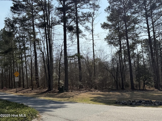 Listing photo 3 for 18 Trailcrest Dr Unit 18, Rockingham NC 28379