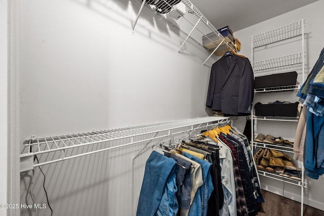 walk in closet featuring wood finished floors