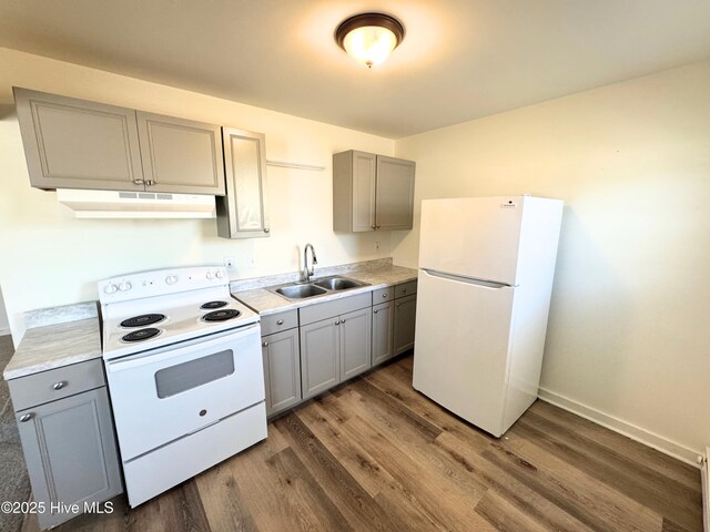 kitchen featuring white appliances, gray cabinetry, under cabinet range hood, and a sink