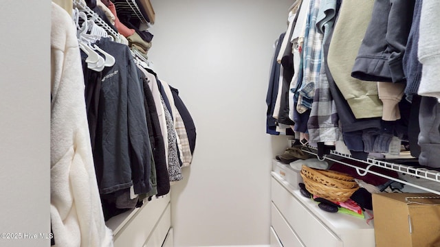 view of walk in closet