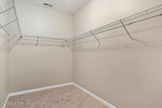 walk in closet featuring visible vents and carpet floors