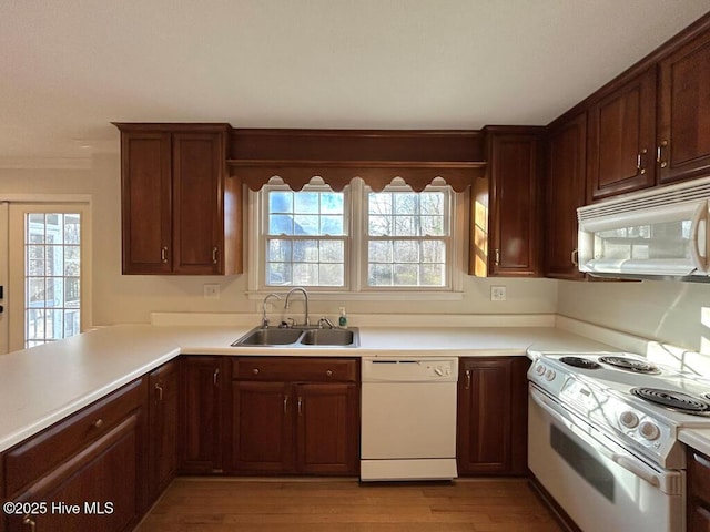 kitchen with light wood-style flooring, white appliances, light countertops, and a sink