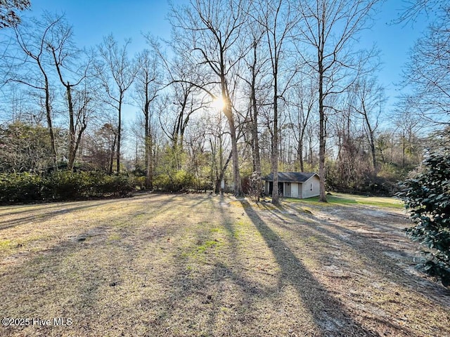 view of yard with an outdoor structure and driveway