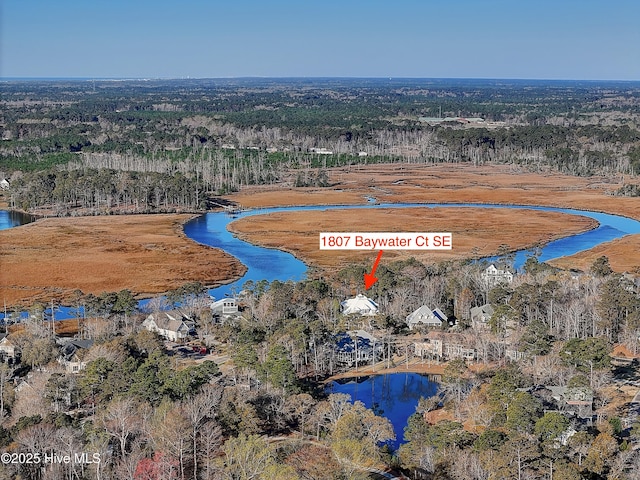 1807 Baywater Ct SE, Bolivia, NC 28422 - drone / aerial view with a view of trees and a water view