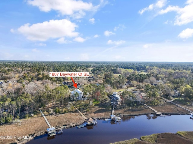 1807 Baywater Ct SE, Bolivia, NC 28422 - aerial view with a forest view and a water view