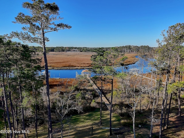 1807 Baywater Ct SE, Bolivia, NC 28422 - view of water feature