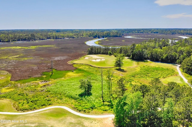1807 Baywater Ct SE, Bolivia, NC 28422 - birds eye view of property with view of golf course and a water view