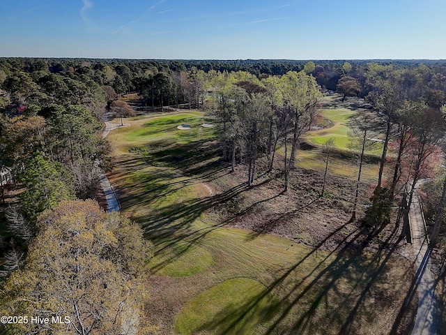 1807 Baywater Ct SE, Bolivia, NC 28422 - birds eye view of property with a forest view and view of golf course