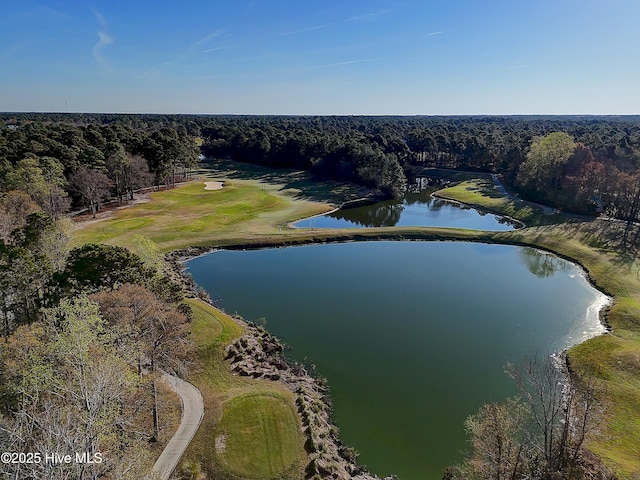 1807 Baywater Ct SE, Bolivia, NC 28422 - birds eye view of property featuring a view of trees and a water view
