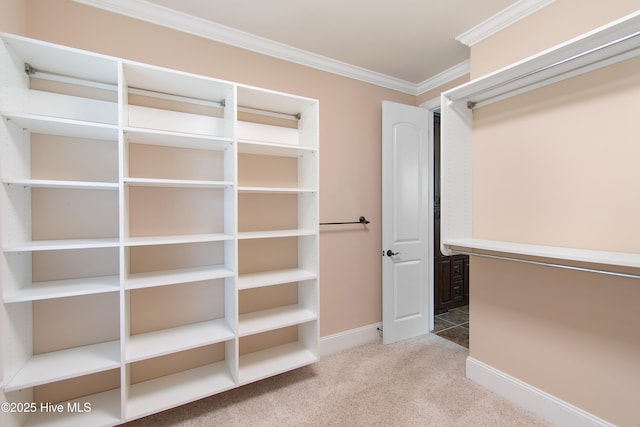1807 Baywater Ct SE, Bolivia, NC 28422 - walk in closet with carpet