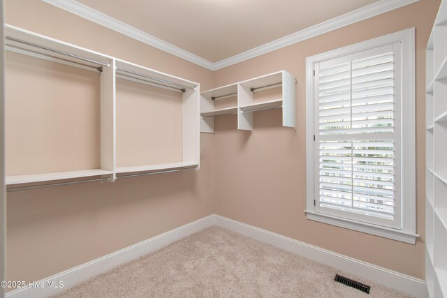 1807 Baywater Ct SE, Bolivia, NC 28422 - walk in closet featuring visible vents and carpet floors