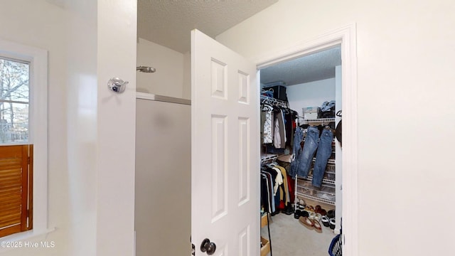 spacious closet with carpet floors