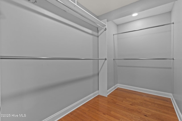 126 Lightwater Dr, Aberdeen, NC 28315 - walk in closet featuring light wood-style flooring