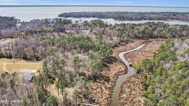 drone / aerial view with a wooded view and a water view