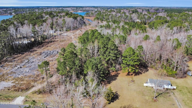 bird's eye view with a wooded view and a water view