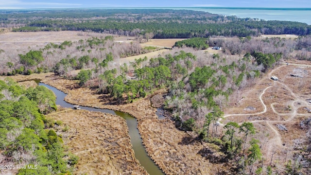 aerial view featuring a forest view and a water view