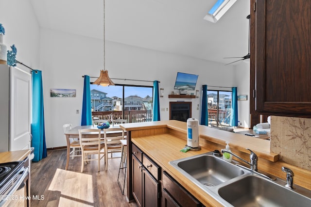 kitchen featuring dark brown cabinetry, open floor plan, dark wood-style flooring, and a sink