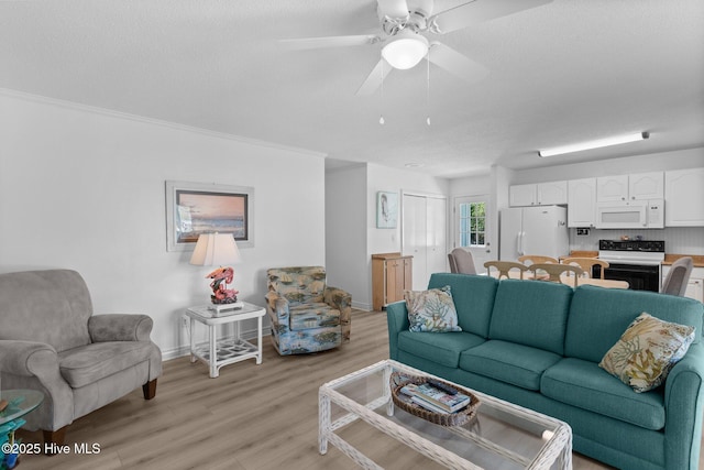 109 NE 17th St, Oak Island, NC 28465 - living room with light wood-type flooring, baseboards, ornamental molding, and ceiling fan