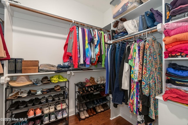 spacious closet featuring wood finished floors