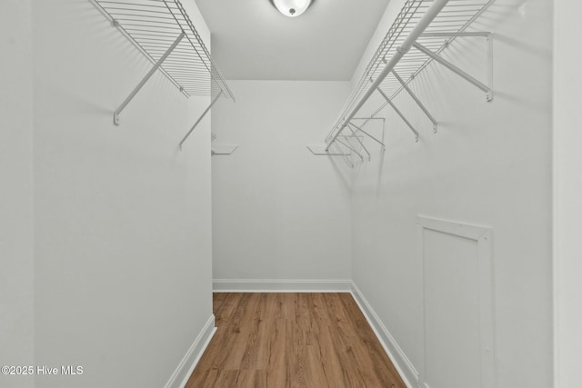 walk in closet with wood finished floors