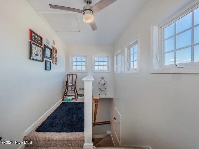 staircase featuring baseboards, ceiling fan, and carpet flooring