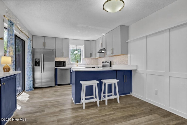 kitchen with blue cabinetry, under cabinet range hood, light wood-type flooring, appliances with stainless steel finishes, and a peninsula