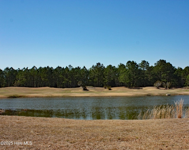 Listing photo 2 for 597 Barrington Pl SW Unit 20, Ocean Isle Beach NC 28469